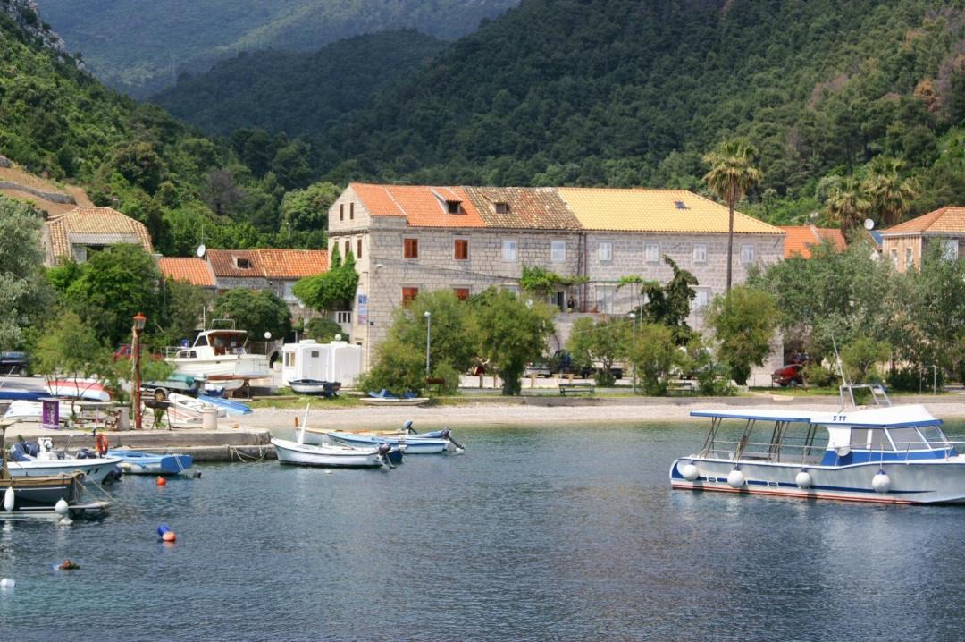 Photo of Others in Trstenik