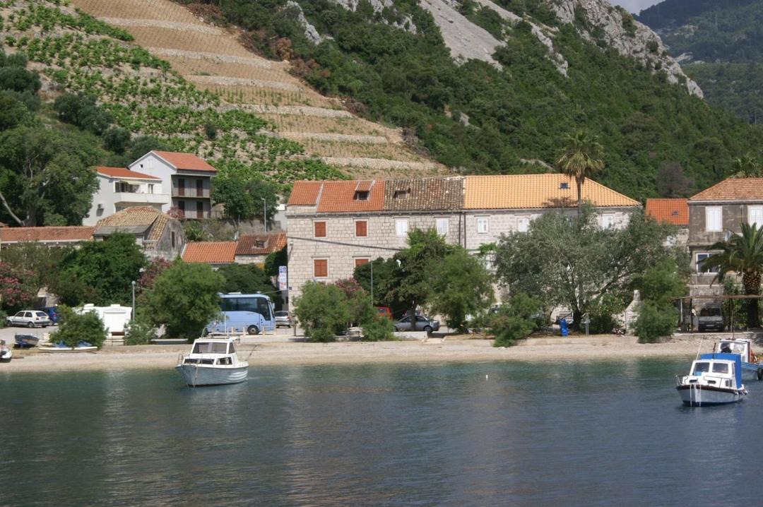 Photo of Others in Trstenik