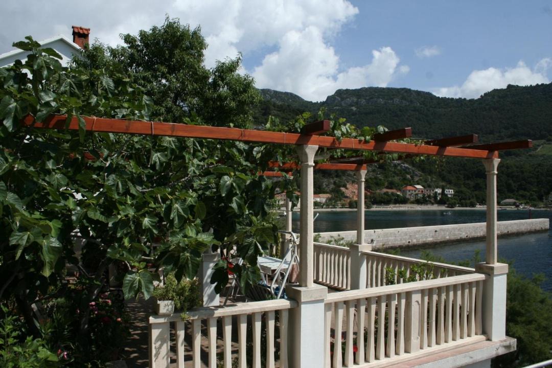 Photo of Others in Trstenik