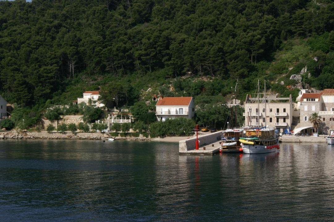 Photo of Outdoor in Trstenik