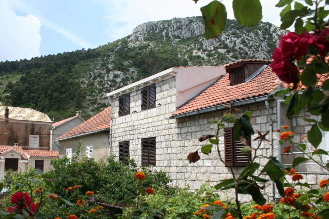 Photo of Others in Trstenik