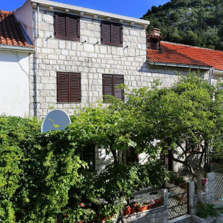 Photo of Others in Trstenik
