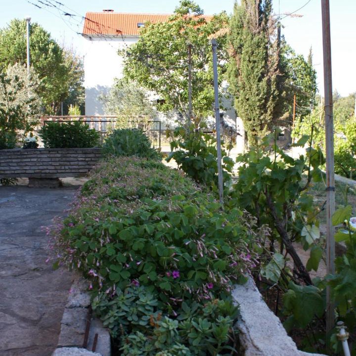 Photo of Others in Biograd na Moru