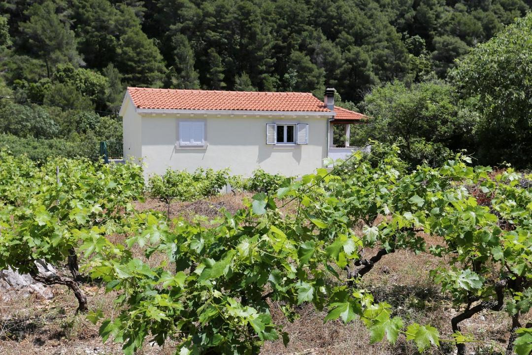 Photo of Others in Trstenik