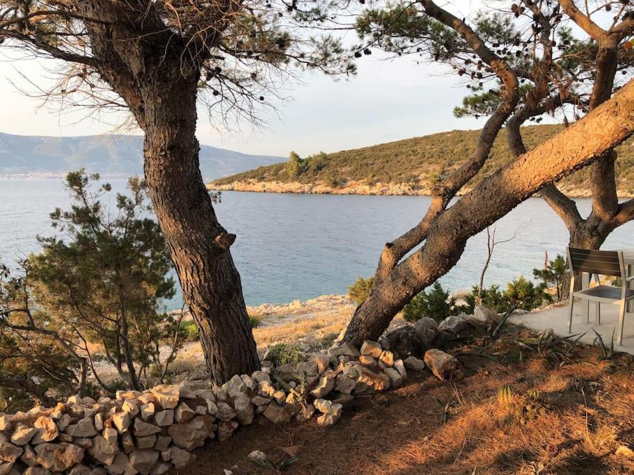 Photo of Others in Cove Basina (Jelsa)