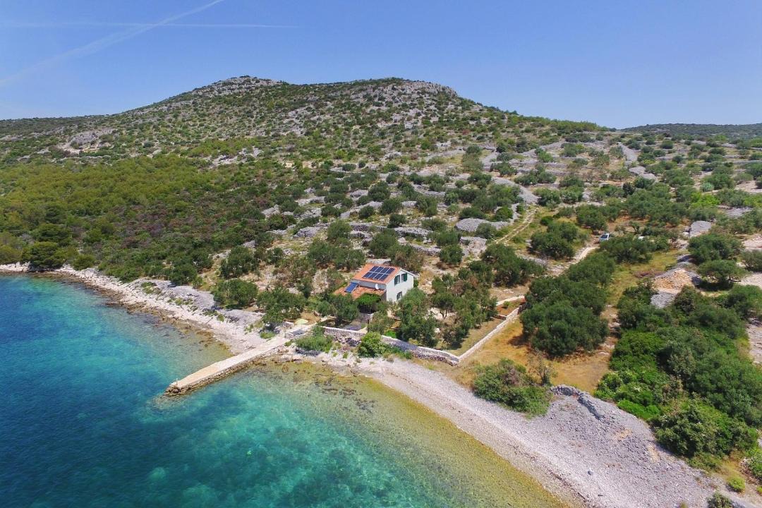 Photo of Others in Tkon