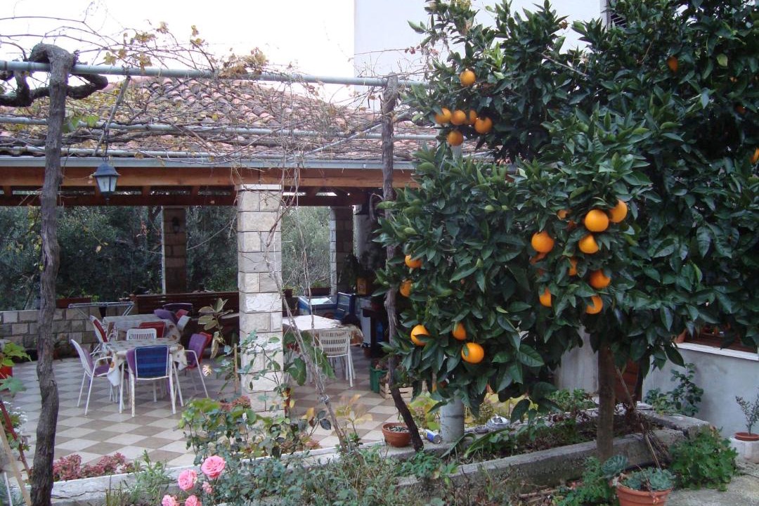Photo of Others in Krucica
