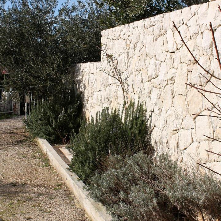 Photo of Others in Marusici