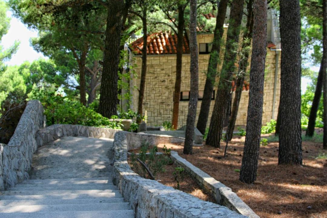 Photo of Others in Marusici