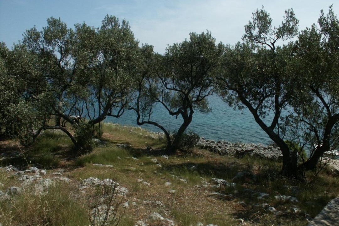 Photo of Outdoor in Zman