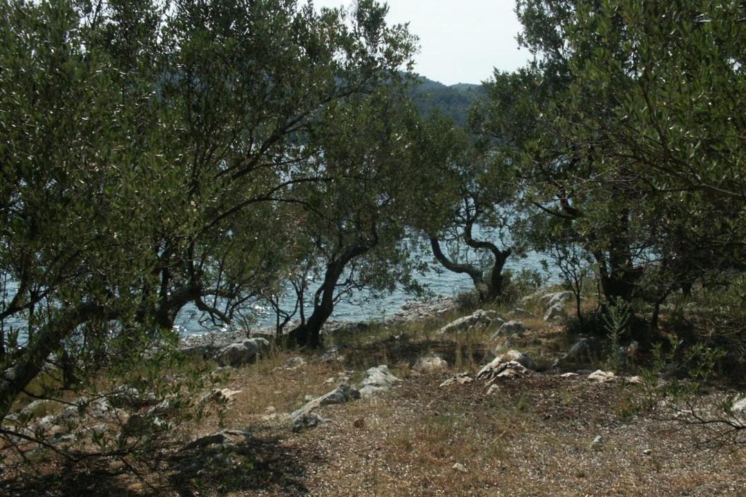 Photo of Outdoor in Zman