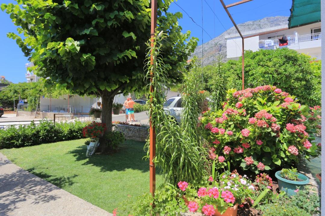 Photo of Others in Blato