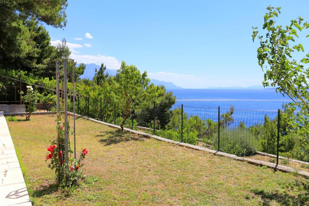 Photo of Others in Marusici