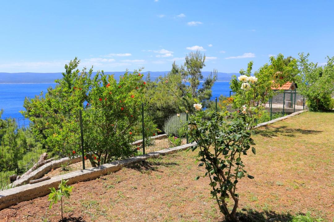 Photo of Others in Marusici