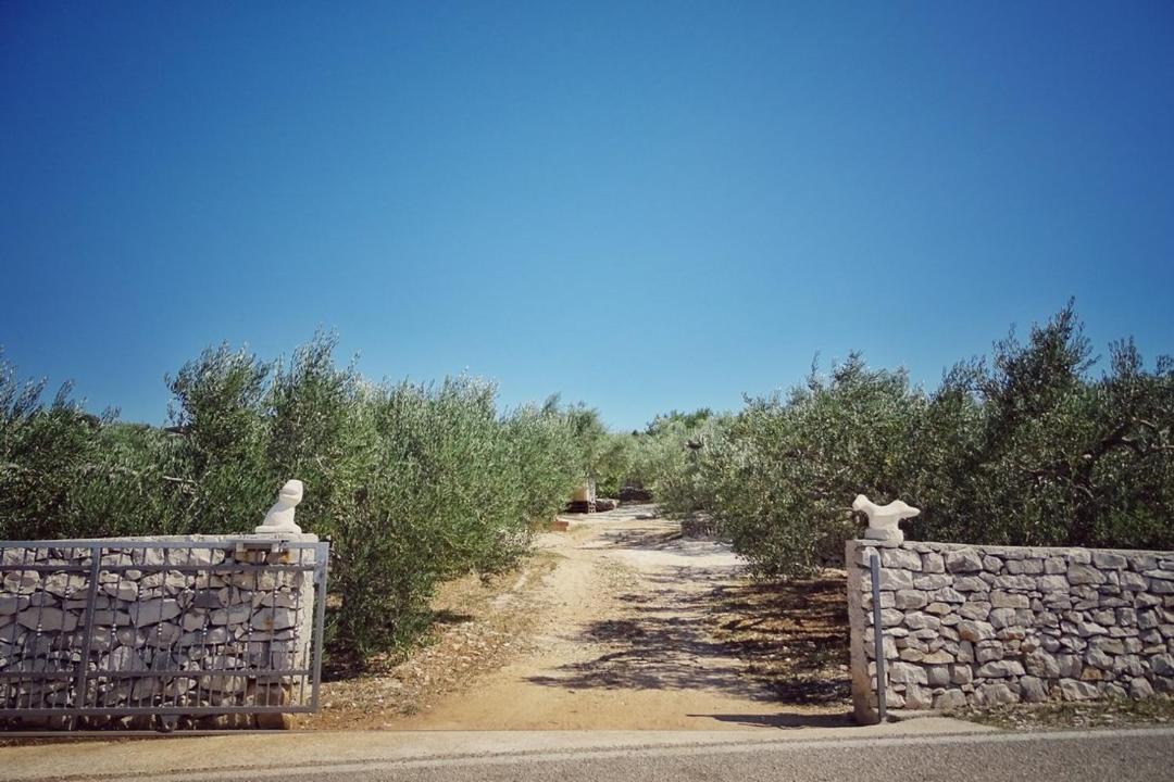 Photo of Others in Povlja