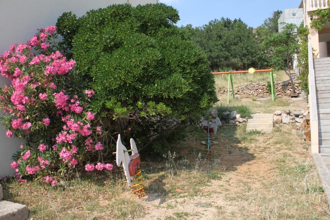 Photo of Others in Metajna