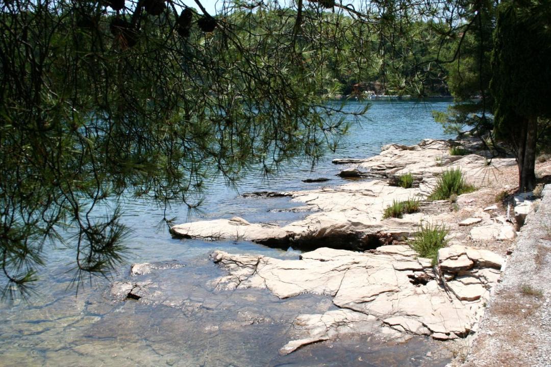 Photo of Others in Vrboska