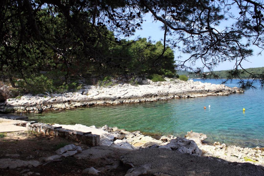 Photo of Others in Island Hvar