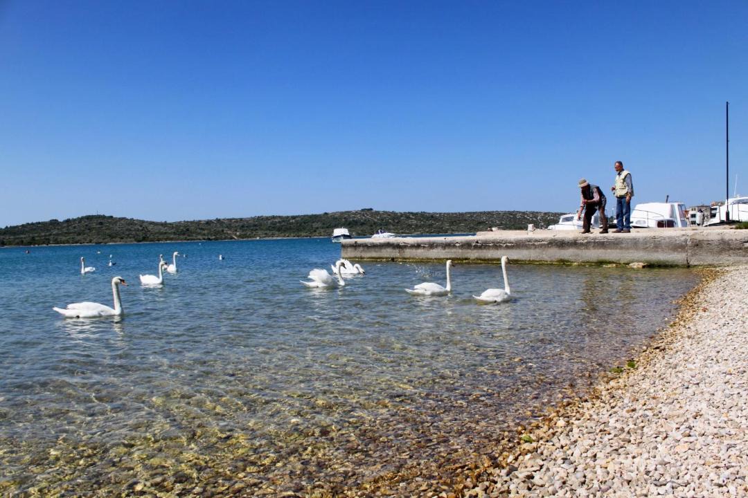 Photo of Others in Pirovac