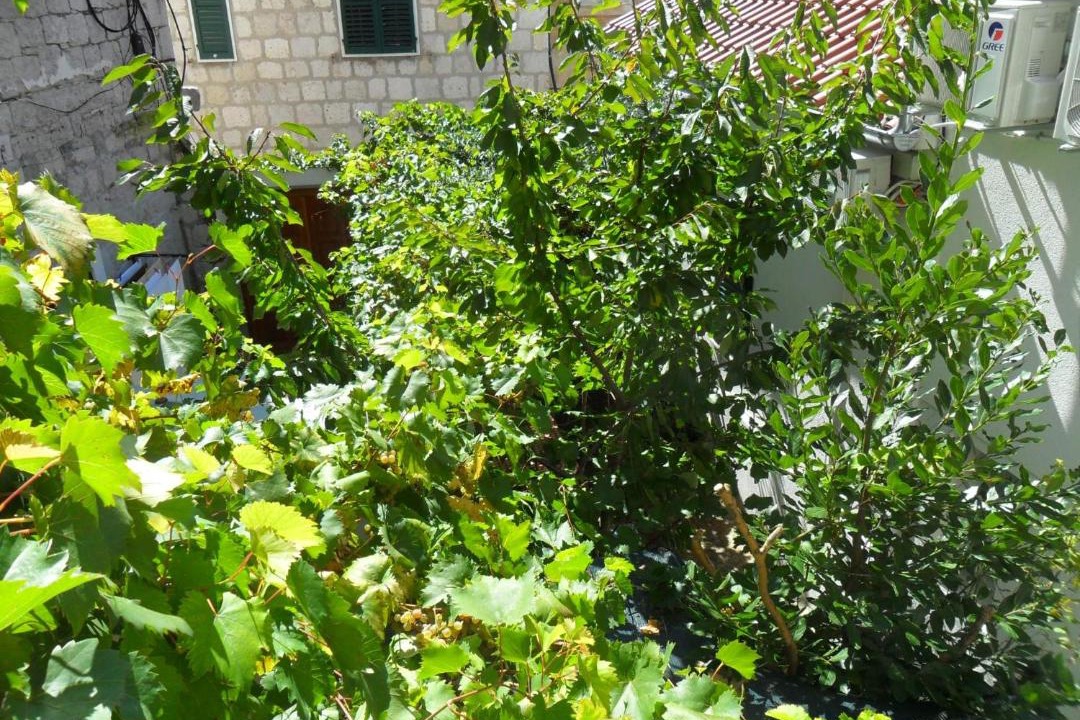 Photo of Others in Split