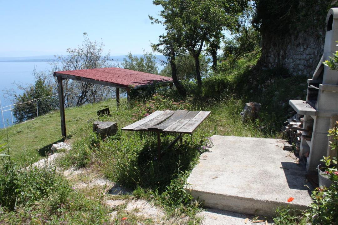 Photo of Others in Beli