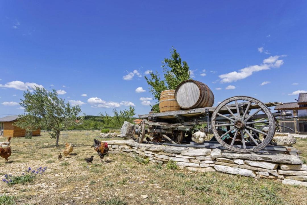 Photo of Others in Benkovac