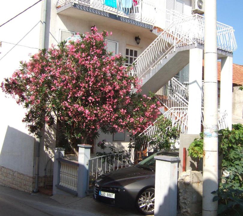 Photo of Buildings in Pakostane