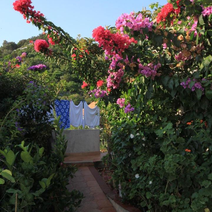 Photo of Others in Zaklopatica