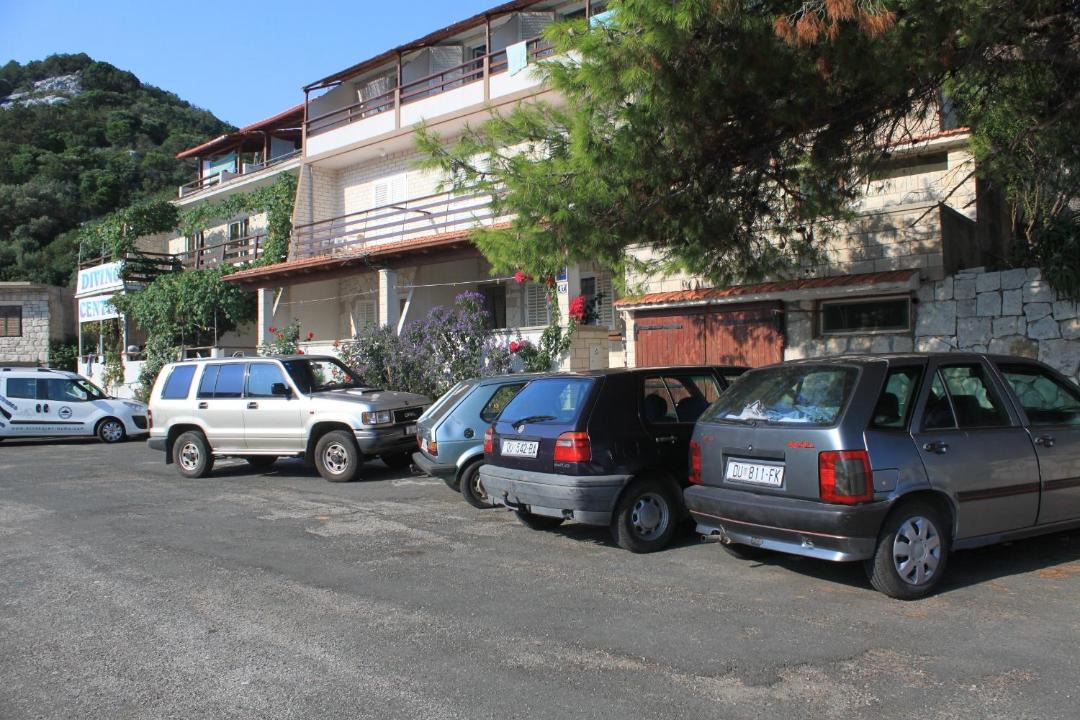 Photo of Others in Zaklopatica