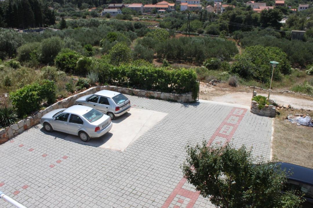 Photo of Others in Soline