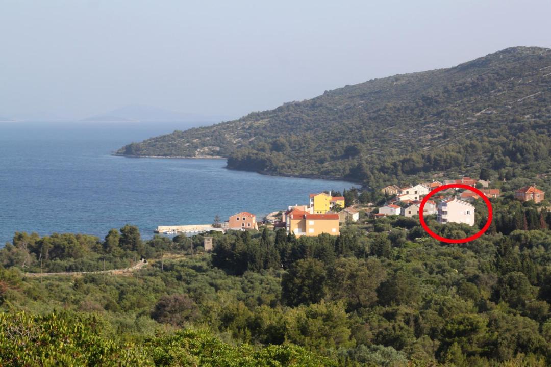 Photo of Others in Soline