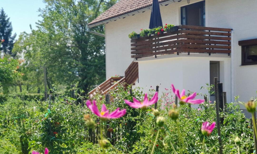 Photo of Others in Dreznik Grad