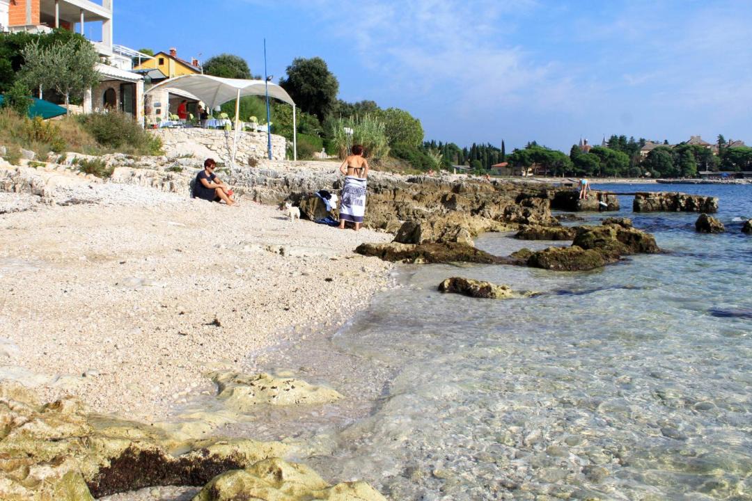Photo of Others in Borik