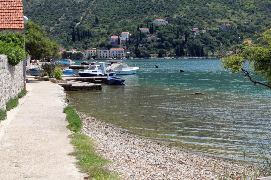 Photo of Others in Zaton