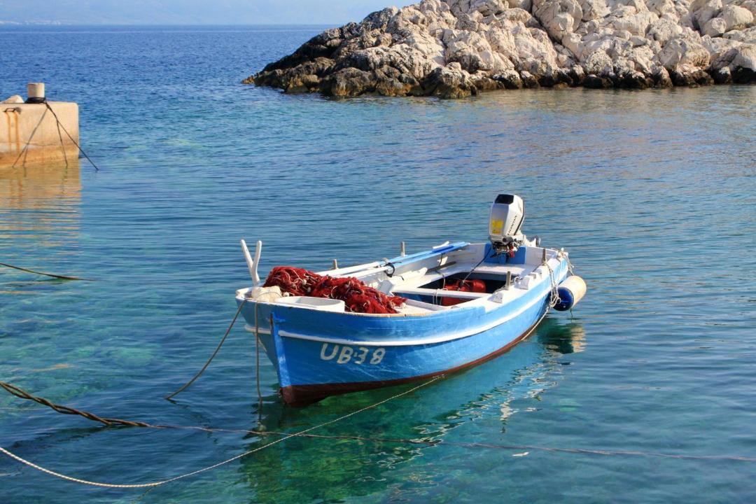 Photo of Others in Zaklopatica