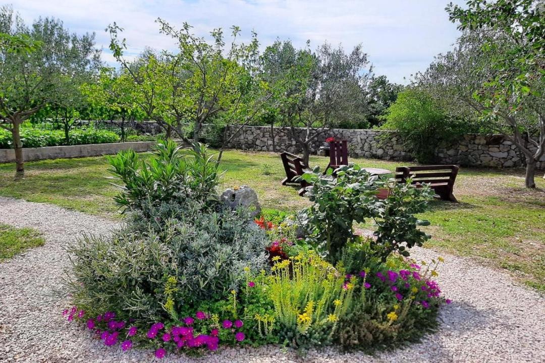 Photo of Outdoor in Bristane