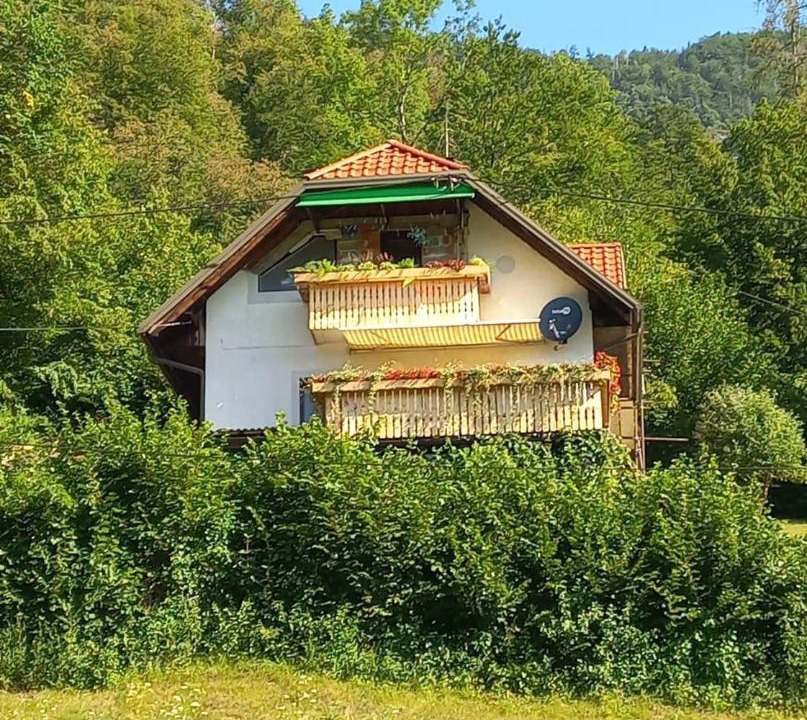 Photo of Others in Bohinj