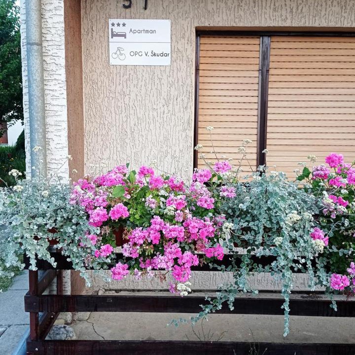 Photo of Others in Bjelovar