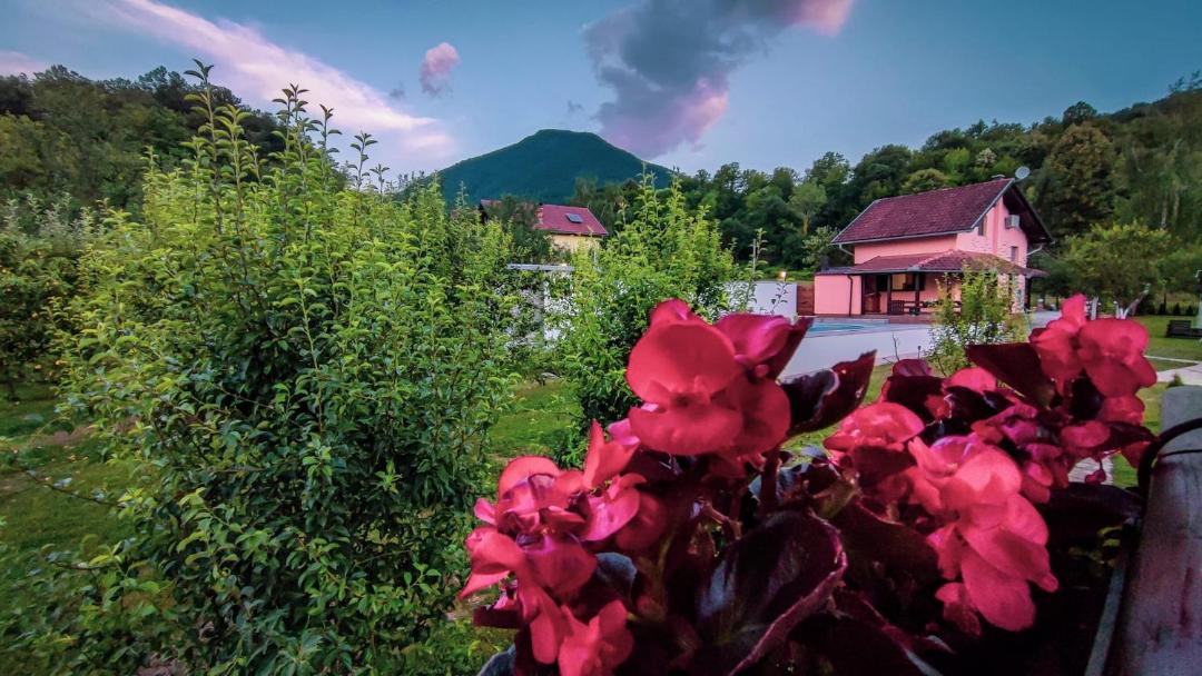 Photo of Others in Bihac