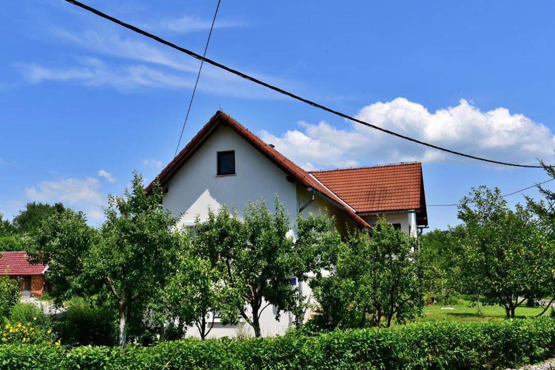 Photo of Others in Rakovica