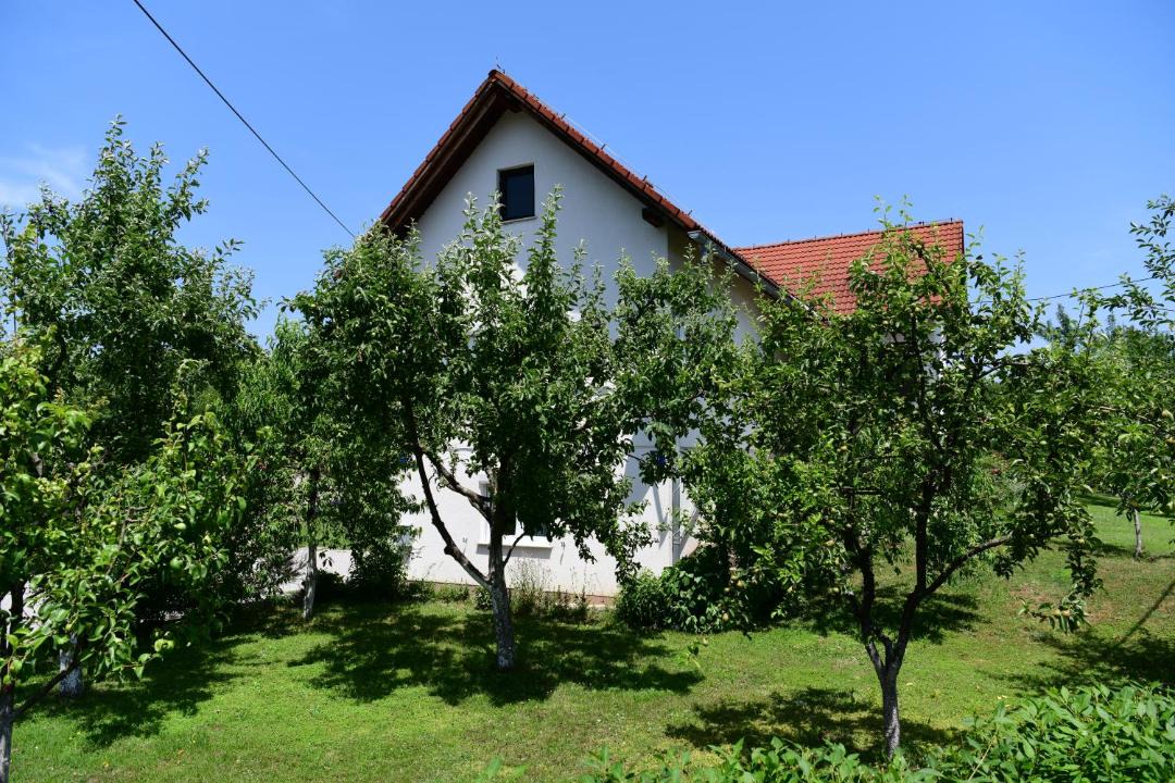 Photo of Others in Rakovica
