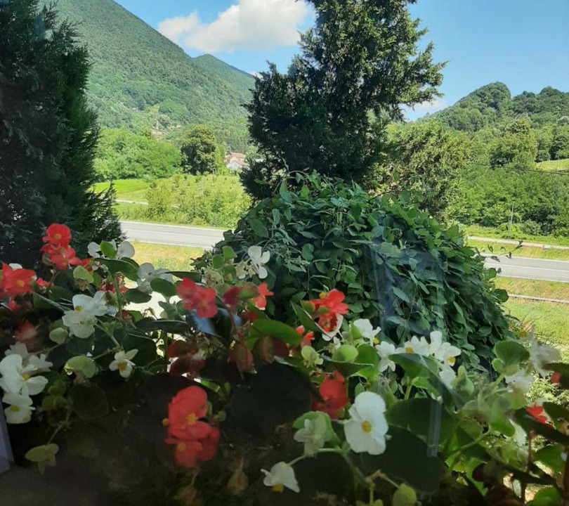 Photo of Others in Krapina
