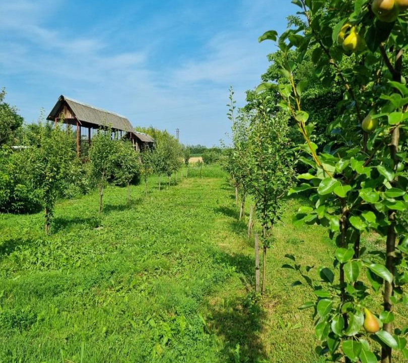 Photo of Others in Krapje
