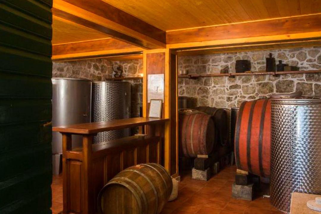 Photo of Others in Kozarica