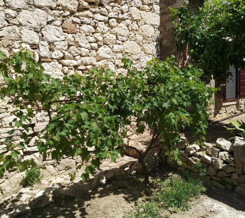 Photo of Others in Susak