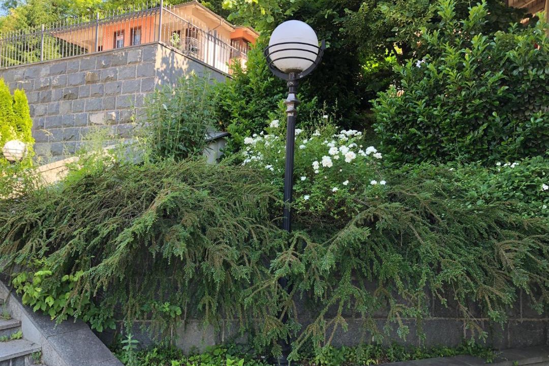 Photo of Others in Fojnica