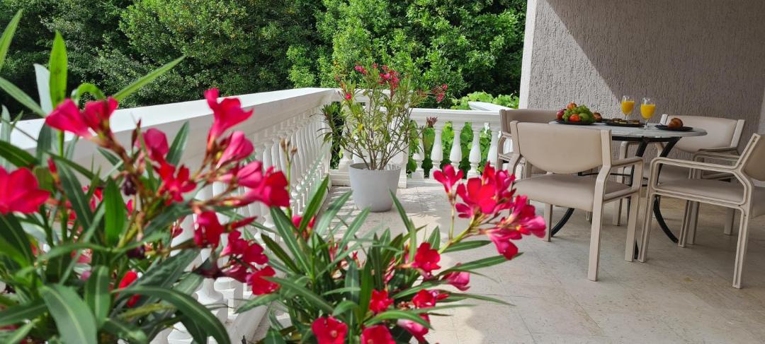 Photo of Patio Balcony in Mihotici
