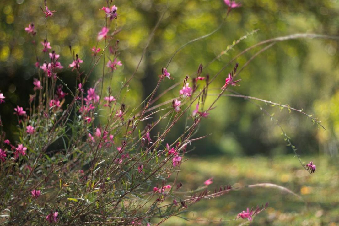 Photo of Outdoor in Zagreb County
