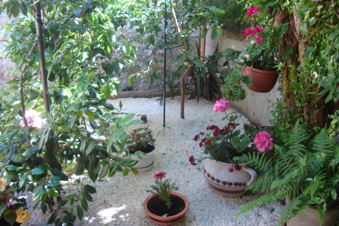 Photo of Others in Trstenik