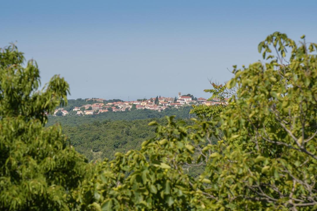 Photo of Others in Buje